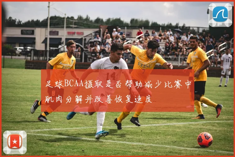 足球BCAA摄取是否帮助减少比赛中肌肉分解并改善恢复速度